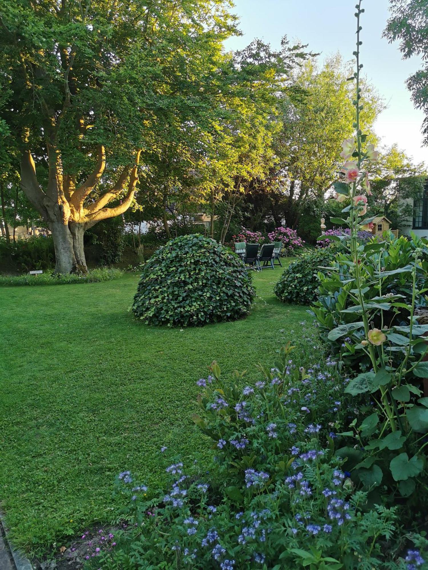 Golf- & Landhotel Am Alten Deich Warwerort 외부 사진